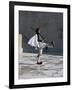 Republican Guard, Parliament, Syntagma, Athens, Greece-Christopher Rennie-Framed Photographic Print