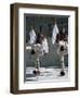 Republican Guard, Parliament, Syntagma, Athens, Greece-Christopher Rennie-Framed Photographic Print