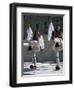 Republican Guard, Parliament, Syntagma, Athens, Greece-Christopher Rennie-Framed Photographic Print