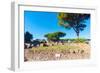 Republican temple, Ostia Antica archaeological site, Ostia, Rome province, Latium (Lazio), Italy-Nico Tondini-Framed Photographic Print