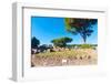 Republican temple, Ostia Antica archaeological site, Ostia, Rome province, Latium (Lazio), Italy-Nico Tondini-Framed Photographic Print