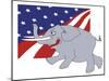 Republicans, no.1-Linda Braucht-Mounted Giclee Print