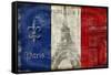 Republique Francaise-Luke Wilson-Framed Stretched Canvas