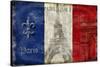 Republique Francaise-Luke Wilson-Stretched Canvas