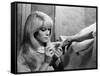 REPULSION, 1965 directed by ROMAN POLANSKI Catherine Deneuve (b/w photo)-null-Framed Stretched Canvas