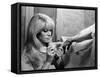 REPULSION, 1965 directed by ROMAN POLANSKI Catherine Deneuve (b/w photo)-null-Framed Stretched Canvas