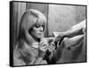 REPULSION, 1965 directed by ROMAN POLANSKI Catherine Deneuve (b/w photo)-null-Framed Stretched Canvas