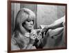 REPULSION, 1965 directed by ROMAN POLANSKI Catherine Deneuve (b/w photo)-null-Framed Photo