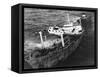 Rescue Operation of Grounded Oil Tanker-null-Framed Stretched Canvas