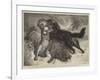 Rescued from the Wolf-Samuel John Carter-Framed Giclee Print