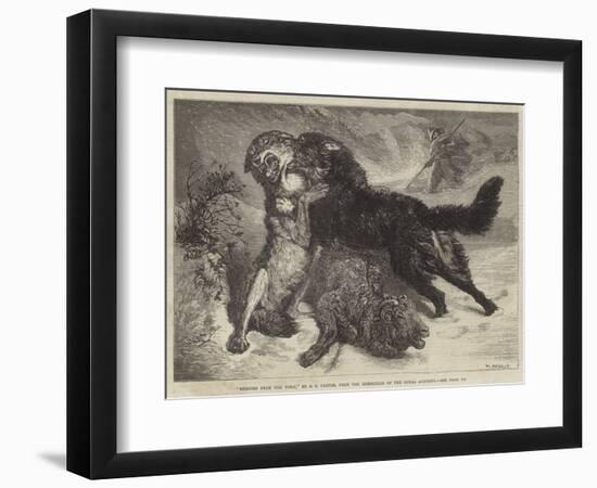 Rescued from the Wolf-Samuel John Carter-Framed Giclee Print