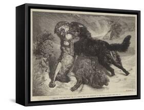 Rescued from the Wolf-Samuel John Carter-Framed Stretched Canvas