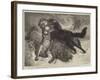 Rescued from the Wolf-Samuel John Carter-Framed Giclee Print