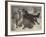 Rescued from the Wolf-Samuel John Carter-Framed Giclee Print