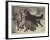 Rescued from the Wolf-Samuel John Carter-Framed Giclee Print