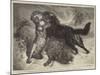 Rescued from the Wolf-Samuel John Carter-Mounted Giclee Print