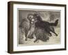 Rescued from the Wolf-Samuel John Carter-Framed Giclee Print