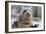 Rescued Grey Seal Pup (Halichoerus Grypus)-Nick Upton-Framed Photographic Print