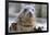 Rescued Grey Seal Pup (Halichoerus Grypus)-Nick Upton-Framed Photographic Print