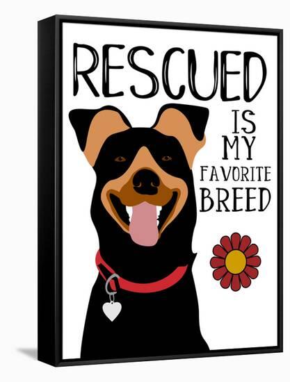 Rescued is my Favorite Breed-Ginger Oliphant-Framed Stretched Canvas