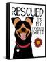 Rescued is my Favorite Breed-Ginger Oliphant-Framed Stretched Canvas