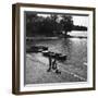 Reservoir Anglers-null-Framed Photographic Print