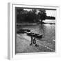 Reservoir Anglers-null-Framed Photographic Print