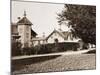 Residence of Mr. Howard, San Mateo, California, with Olive Tree, 1863-1880-Carleton Watkins-Mounted Art Print