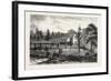 Residence of Mrs Hughes New Rugby Tennesee, 1884, USA, America, United States-null-Framed Giclee Print