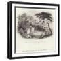 Residence of Tomb of George Washington in Mount Vernon-William Henry Brooke-Framed Giclee Print