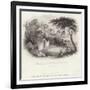 Residence of Tomb of George Washington in Mount Vernon-William Henry Brooke-Framed Giclee Print