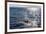 Resident Killer Whale-Michael Nolan-Framed Photographic Print