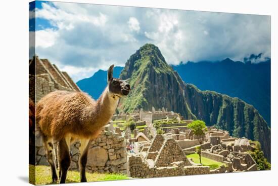 Resident Llama, Machu Picchu Ruins, UNESCO World Heritage Site, Peru, South America-Laura Grier-Stretched Canvas