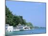 Residential Houses Near Blue Lagoon, Port Antonio, Jamaica, West Indies, Central America-Sergio Pitamitz-Mounted Photographic Print