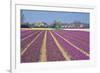 Residential Houses with View on Bulb Fields-Colette2-Framed Photographic Print