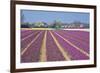 Residential Houses with View on Bulb Fields-Colette2-Framed Photographic Print