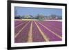 Residential Houses with View on Bulb Fields-Colette2-Framed Photographic Print