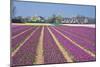 Residential Houses with View on Bulb Fields-Colette2-Mounted Photographic Print