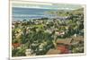 Residential Part of Laguna Beach, California-null-Mounted Premium Giclee Print