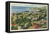 Residential Part of Laguna Beach, California-null-Framed Stretched Canvas