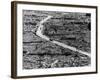 Residents Moving Through Rubble of Nagasaki Shortly After Atomic Bomb Was Dropped-null-Framed Photographic Print