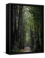 Residents of Moldova Walk Through a Park in Downtown Chisinau, Moldova-null-Framed Stretched Canvas