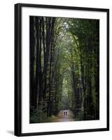 Residents of Moldova Walk Through a Park in Downtown Chisinau, Moldova-null-Framed Photographic Print