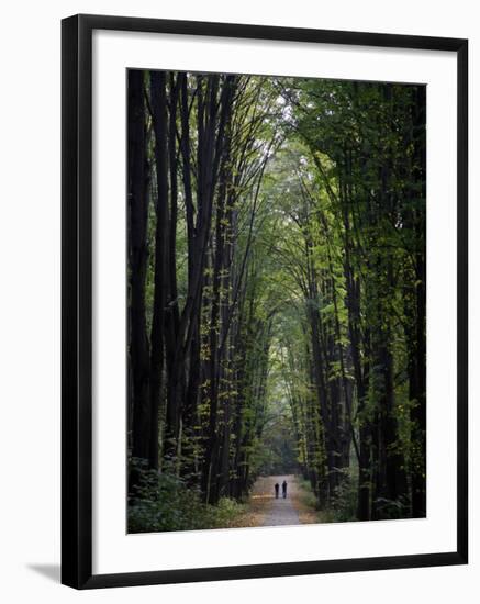 Residents of Moldova Walk Through a Park in Downtown Chisinau, Moldova-null-Framed Photographic Print