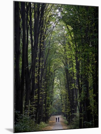 Residents of Moldova Walk Through a Park in Downtown Chisinau, Moldova-null-Mounted Photographic Print