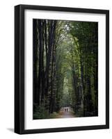 Residents of Moldova Walk Through a Park in Downtown Chisinau, Moldova-null-Framed Photographic Print