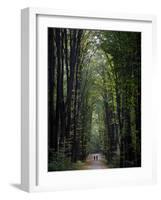 Residents of Moldova Walk Through a Park in Downtown Chisinau, Moldova-null-Framed Photographic Print