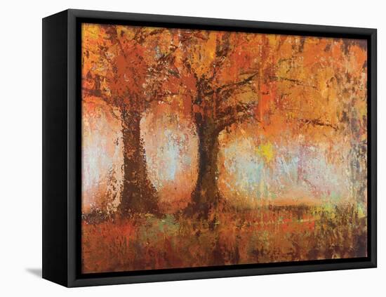 Residing Peace II-Sokol Hohne-Framed Stretched Canvas
