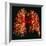 Resin Cast of Pulmonary Arteries And Bronchi-Martin Dohrn-Framed Premium Photographic Print