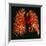 Resin Cast of Pulmonary Arteries And Bronchi-Martin Dohrn-Framed Photographic Print